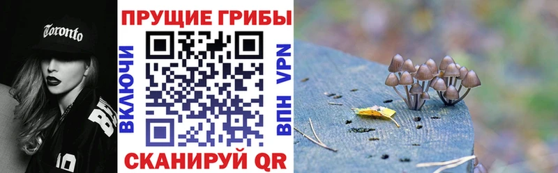 Псилоцибиновые грибы мухоморы  Купить где  Донской 